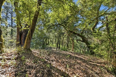 Tucked away in the peaceful redwoods of Boulder Creek, 360 - photo 4
