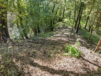 Tucked away in the peaceful redwoods of Boulder Creek, 360 - photo 5