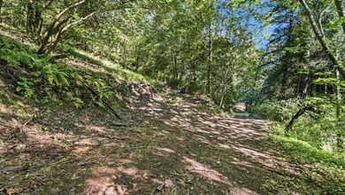 Tucked away in the peaceful redwoods of Boulder Creek, 360 - photo 6