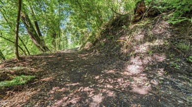Tucked away in the peaceful redwoods of Boulder Creek, 360 - photo 9