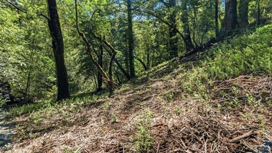 Tucked away in the peaceful redwoods of Boulder Creek, 360 - photo 10