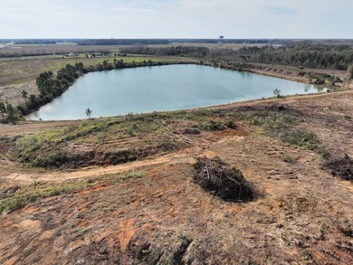 This is an opportunity to own a versatile piece of property in - photo 14