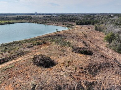 This is an opportunity to own a versatile piece of property in - photo 15