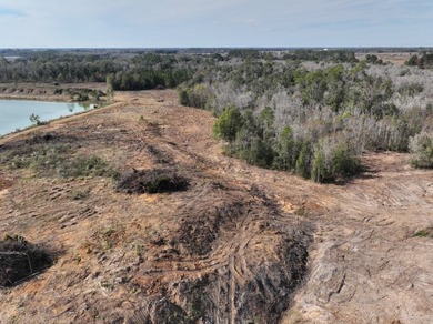 This is an opportunity to own a versatile piece of property in - photo 16