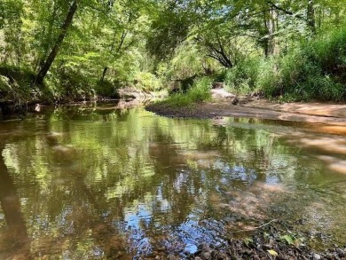 Lake Acreage For Sale in Liberty, Mississippi