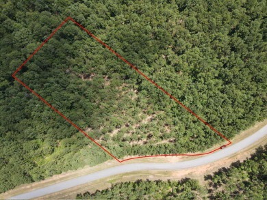 Strom Thurmond / Clarks Hill Lake Lot For Sale in Lincolnton Georgia