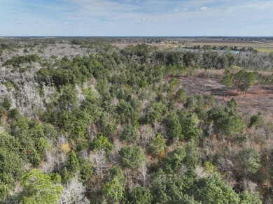 This is an opportunity to own a versatile piece of property in - photo 32