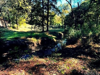 Almost 2 acres in LHSD! Excellent Income Producing with room to - photo 9