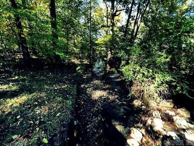 Almost 2 acres in LHSD! Excellent Income Producing with room to - photo 10