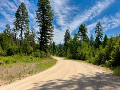 Lake Acreage For Sale in Orient, Washington