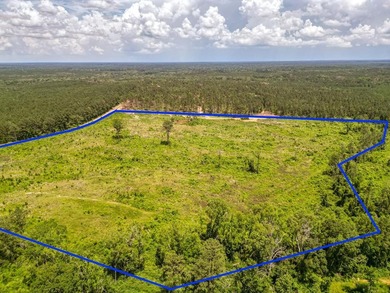 Lake Acreage For Sale in Liberty, Mississippi