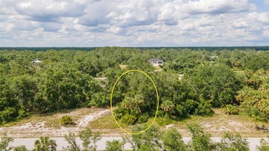 Port Charlotte Waterway Lakes Area Lot Sale Pending in Port Charlotte Florida