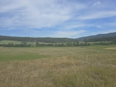 Lake Acreage For Sale in Colville, Washington