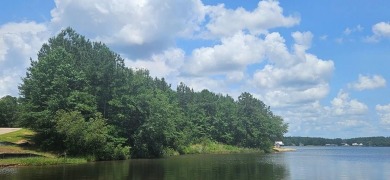 Lake Lot For Sale in Lumberton, Mississippi