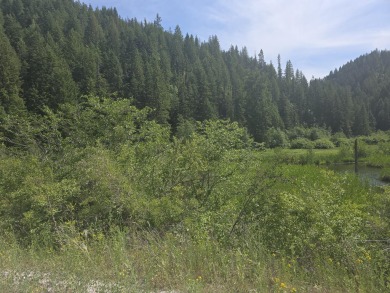 Lake Acreage For Sale in Valley, Washington