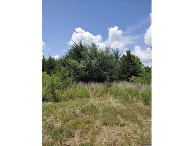 40.89 ACRES OF PURE, UNTOUCHED WILDERNESS! If you've been - photo 3