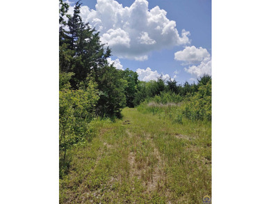 40.89 ACRES OF PURE, UNTOUCHED WILDERNESS! If you've been - photo 4