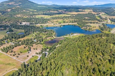 Lake Acreage For Sale in Colville, Washington