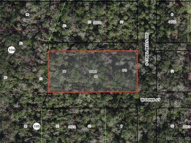 Homosassa River Lot For Sale in Homosassa Florida