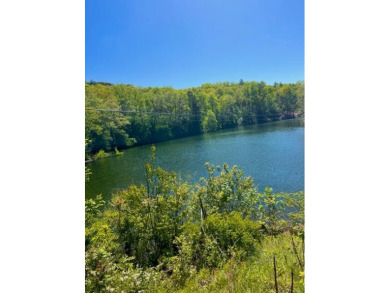 Lake Santeetlah Lot For Sale in Robbinsville North Carolina