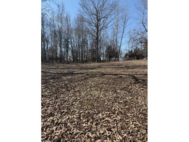 Cleared building lot with a few mature trees and no building - photo 3