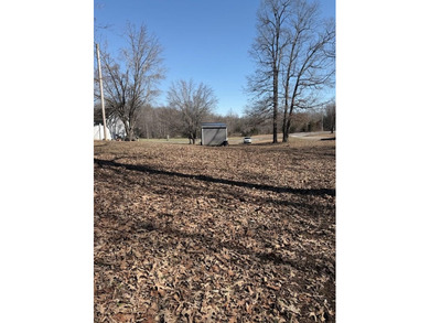 Cleared building lot with a few mature trees and no building - photo 4