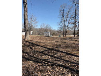 Cleared building lot with a few mature trees and no building - photo 9