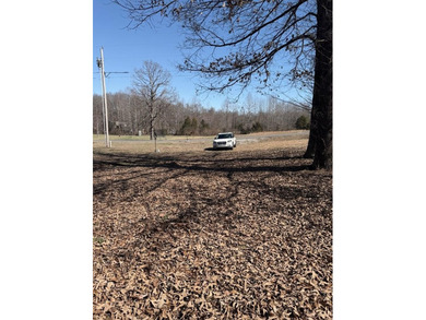 Cleared building lot with a few mature trees and no building - photo 10
