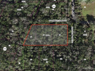 Homosassa River Lot For Sale in Homosassa Florida