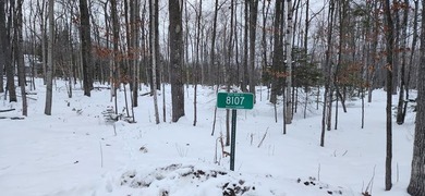 Lake Michigan - Door County Lot For Sale in Baileys Harbor Wisconsin