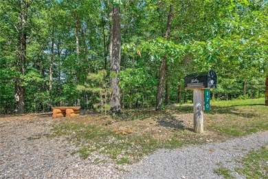 Beaver Lake Cabin Retreat with Guest House & Workshop - 5 - photo 50