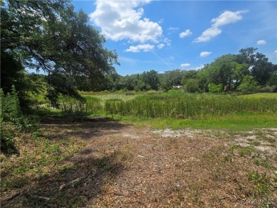 Lake Lot For Sale in Hernando, Florida
