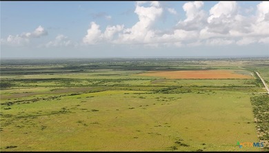 1088.78 acres of RANCH LAND with deer, hogs, turkey, and more on - photo 11