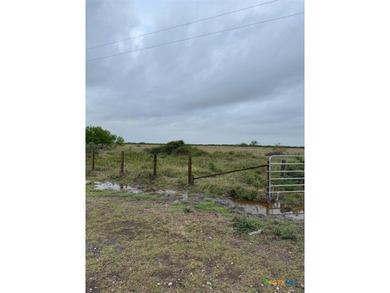 1088.78 acres of RANCH LAND with deer, hogs, turkey, and more on - photo 18