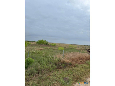 1088.78 acres of RANCH LAND with deer, hogs, turkey, and more on - photo 23