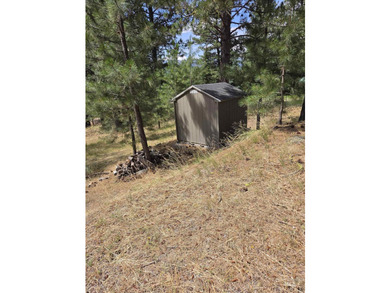 MOUNTAIN LIVING AT ITS BEST! Nestled on a beautifully wooded 1 - photo 26