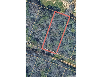 Price adjusted to include both lots. Located on Kaukonahua Lane - photo 1