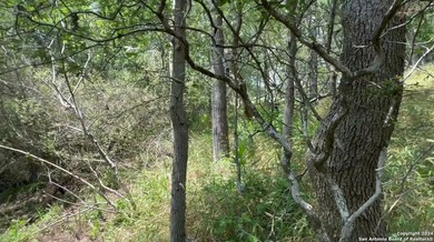 Price adjusted to include both lots. Located on Kaukonahua Lane - photo 5