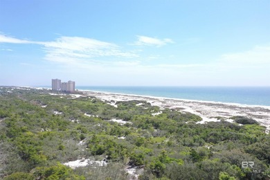 It's all about the view at this 1 bedroom/1 bathroom condominium - photo 36