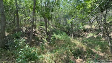 Price adjusted to include both lots. Located on Kaukonahua Lane - photo 6