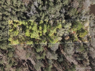 (private lake, pond, coastal) Lot For Sale in Mc Lain Mississippi