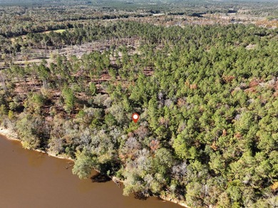 1.12 MOL AC Old HWY 24 Parcel 21 - photo 3