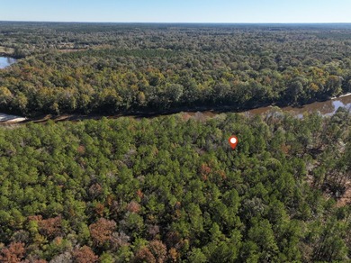 1.12 MOL AC Old HWY 24 Parcel 21 - photo 6