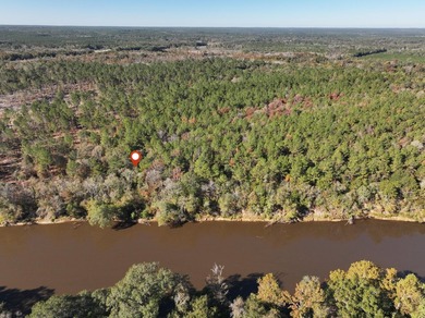 1.12 MOL AC Old HWY 24 Parcel 21 - photo 7