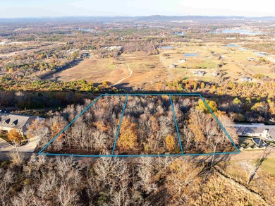 Lake Hamilton Lot For Sale in Hot Springs Arkansas