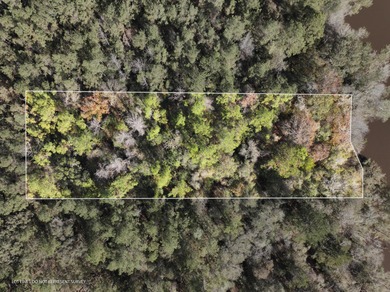 (private lake, pond, coastal) Lot For Sale in Mc Lain Mississippi