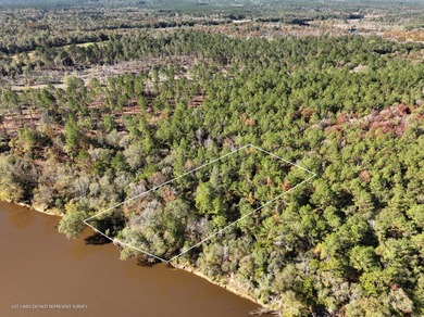 1.08 MOL AC Old HWY 24 Parcel 22 - photo 2