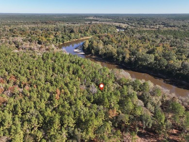 1.08 MOL AC Old HWY 24 Parcel 22 - photo 4