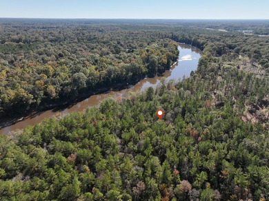 1.08 MOL AC Old HWY 24 Parcel 22 - photo 5