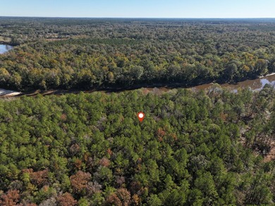 1.08 MOL AC Old HWY 24 Parcel 22 - photo 6